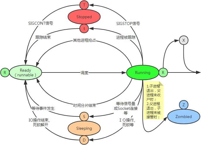 进程的内存分布